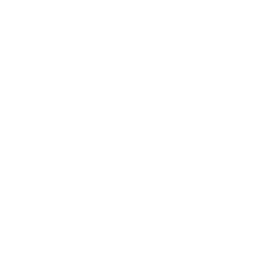 YouTube Logo